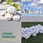 PGN White River Rocks for Plants - 5 Pounds - White Rocks with Smooth, Polished Surfaces - 1-3 Inch Stones for Planters, Aquarium Decorations, Vase, Fireplace, Landscaping, Outdoor Decor