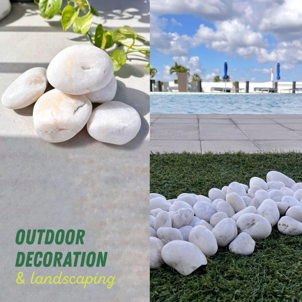PGN White River Rocks for Plants - 40 Pounds - White Rocks with Smooth, Polished Surfaces - 1-3 Inch Stones for Planters, Aquarium Decorations, Vase, Fireplace, Landscaping, Outdoor Decor