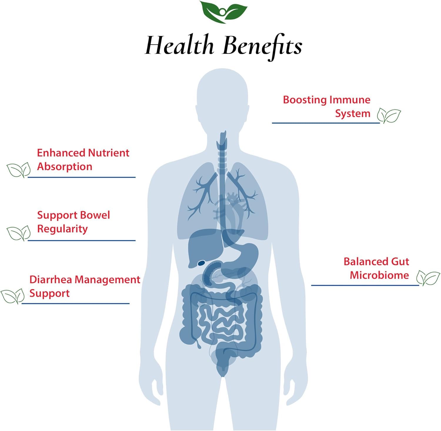 Foods For Gut Bacillus Subtilis Probiotic Powder 200 Billion cfu's | Digestive & Immune Support | High Potency | B. Subtilis | 30 Gram (1.05 Oz)