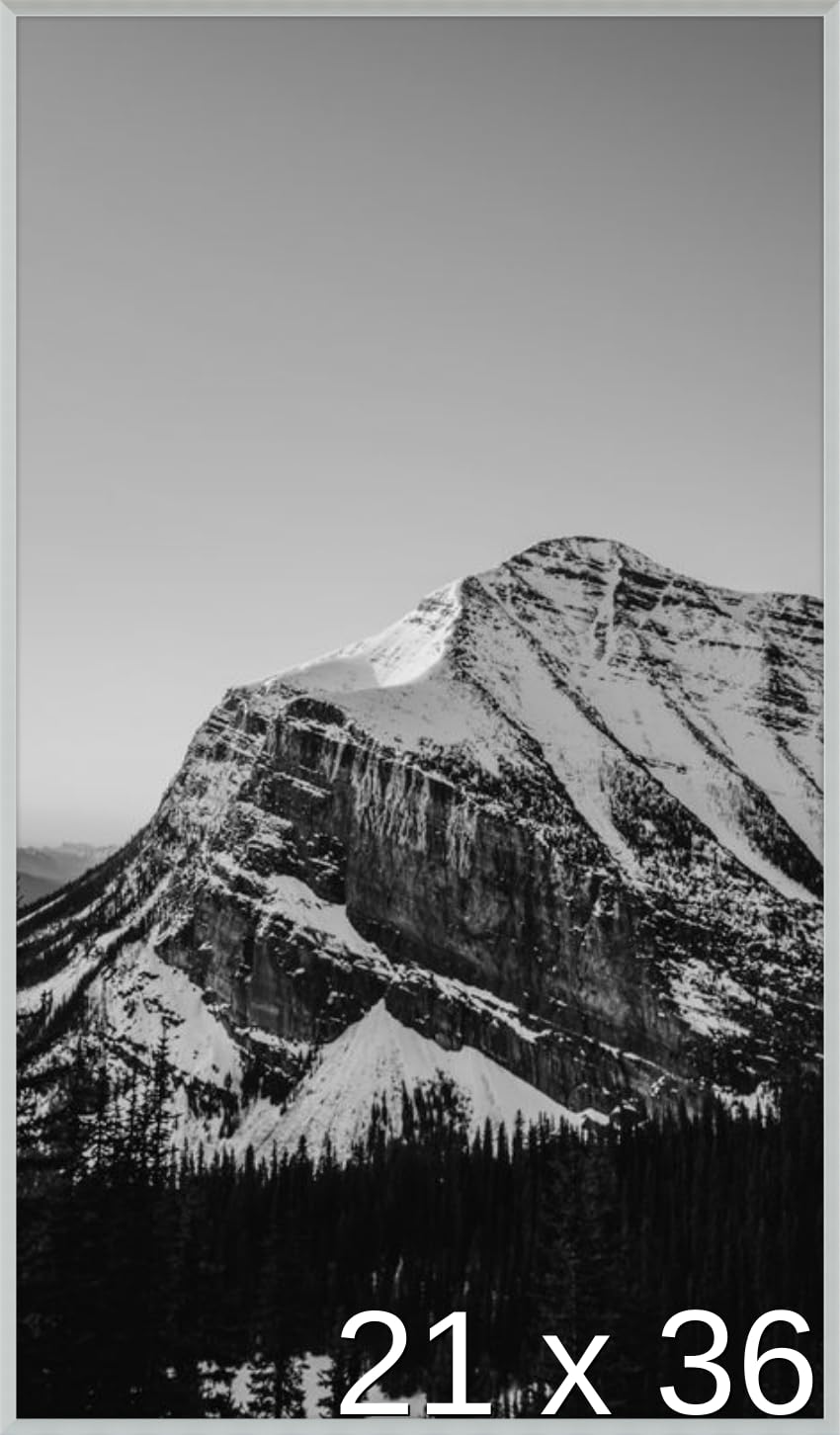 Frame It Easy 21 x 36 Satin Silver Metal Frame (Ashford)