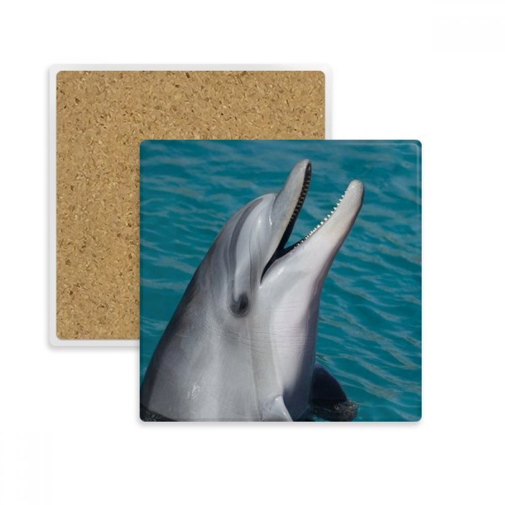 Porte-Absorbant Pierre l'eau de mer tasse coaster multicolor pour verre et mug