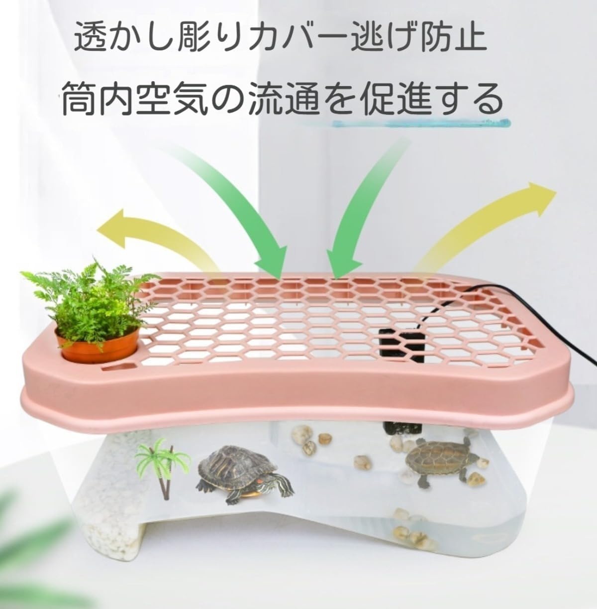 特大亀鉢 CN26 ドニーズタートル S 植木鉢 亀 多肉植物 フラワーポット