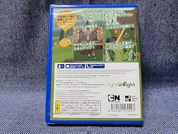 [未開封品] 北米版アドベンチャー・タイム ネームレス王国の3人のプリンセス ゼルダにオマージュを捧げたゲーム化第三弾「アドベンチャー