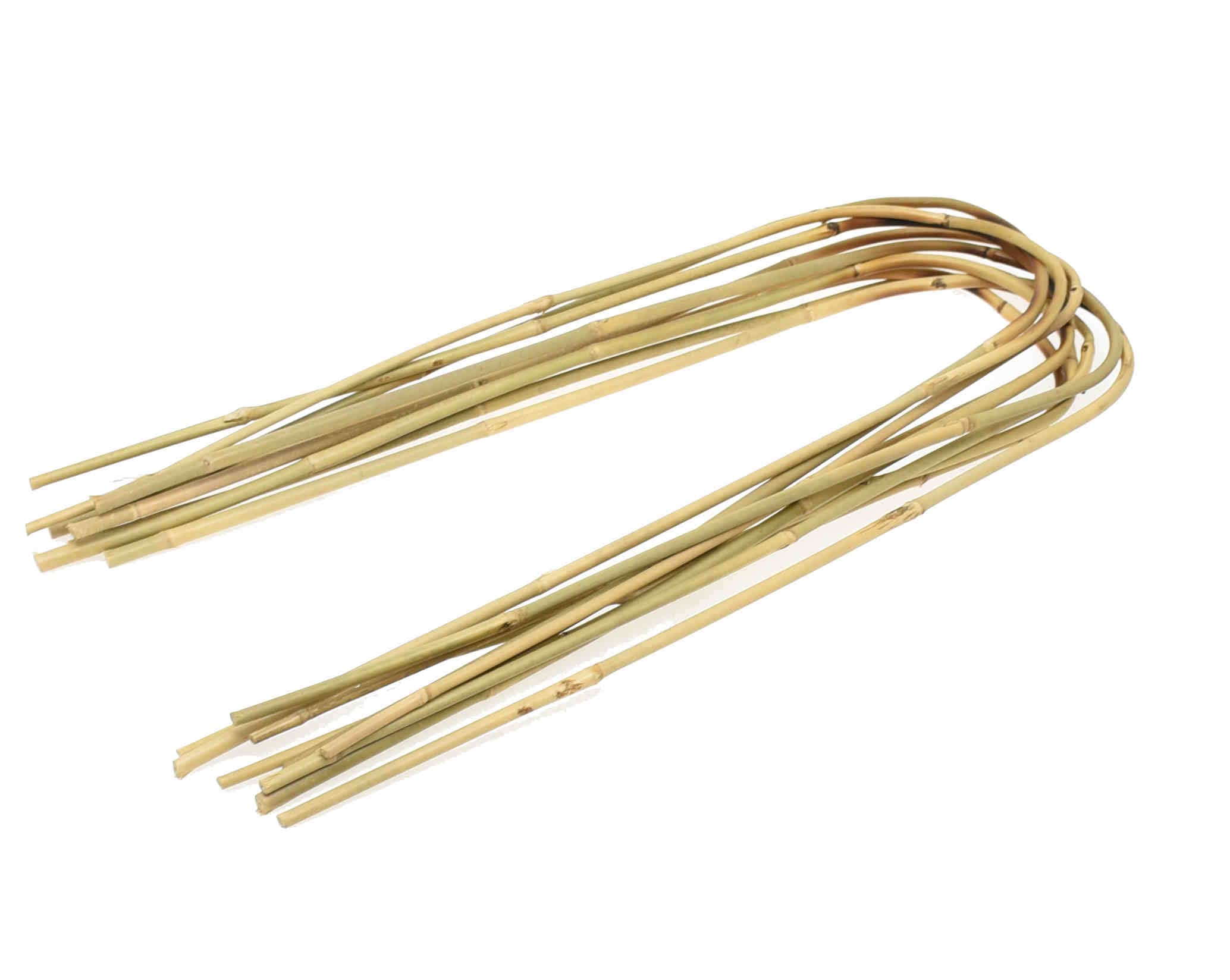 Dixiestore Gebogener Bambus Bambusstifte Natürliche - für Pflanzen Dekoratives Element Rankhilfe Clematis Efeu oder Orchideen Pflanzstäbe Stäbe - Größe 150 cm 14/16 mm Inhalt 100 Stück
