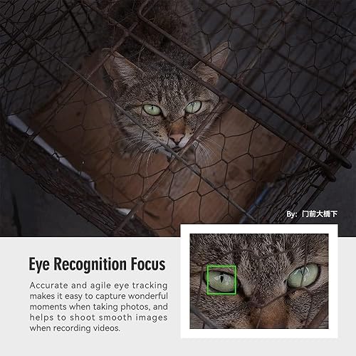 Miniatura 4 de TTArtisan AF 1.063 in F2.8 Lente de enfoque automático APS-C lentes compatibles con cámaras Sony E-Mount sin espejo A5000 A5100 A6000 A6100 A6300