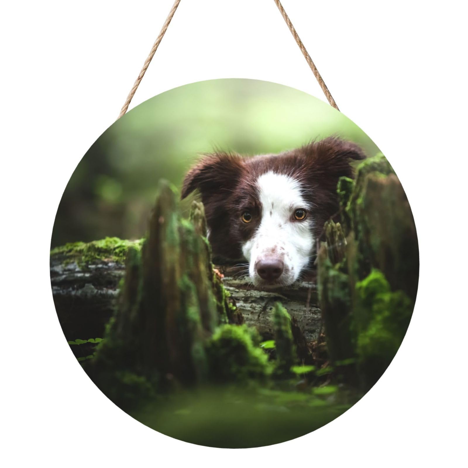 InOmak Border Collie Stone Sweet Brown Dogs Pets, Round Wood Panel Painting 12 in, Wall Hanging Painting For Home