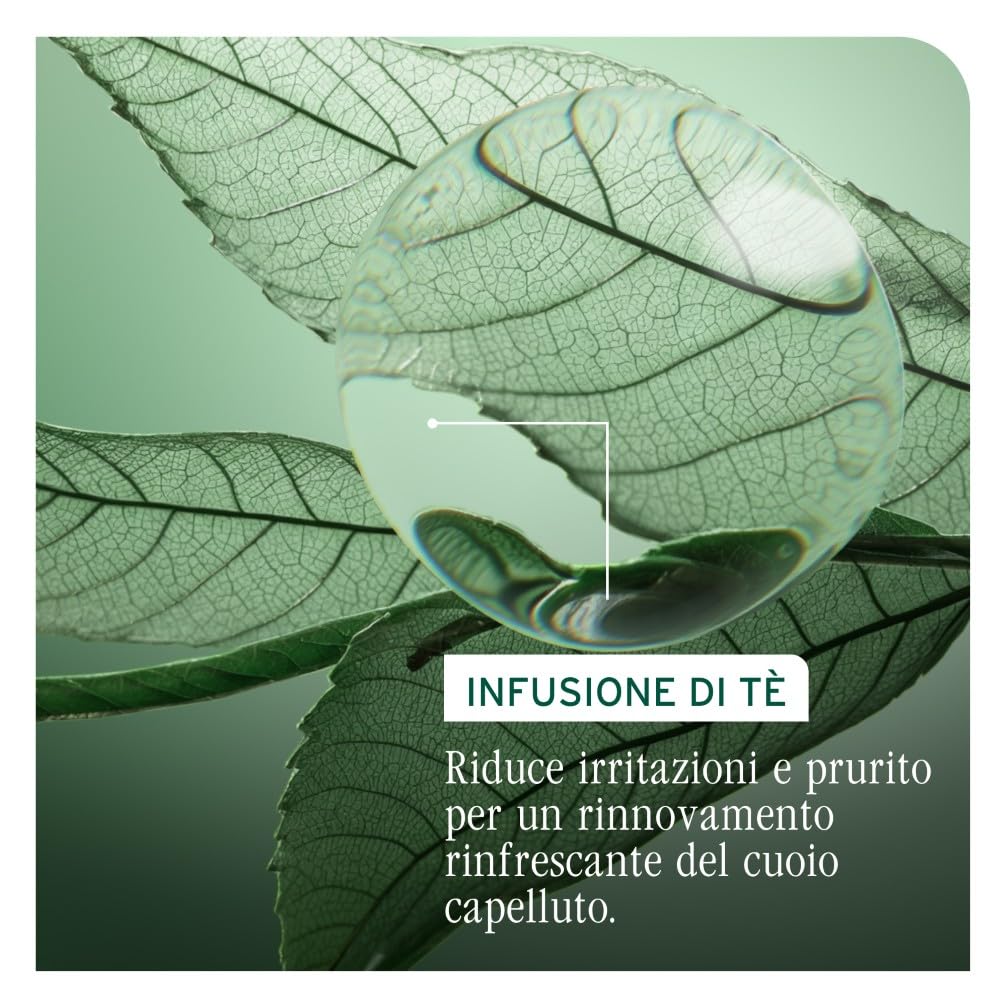 Biolage Shampoo Riequilibrante per Cute Grassa, Adatto a Tutti i Tipi di Capelli, Arricchito con Tè Fermentato e Acido Glicolico, Clarifying Shampoo, Scalp Sync