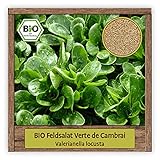 BIO Gemüse Saatgut für ca. 800 Feldsalatpflanzen