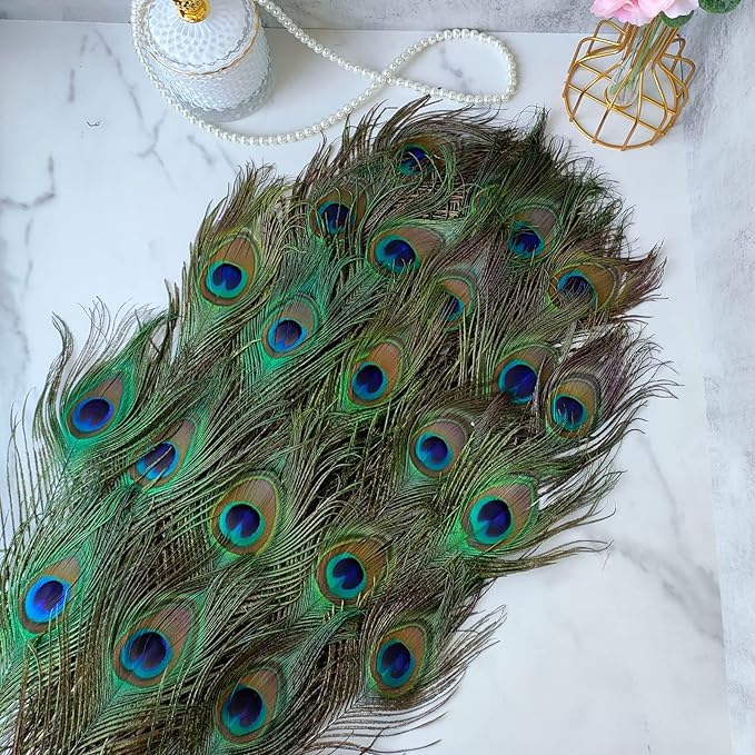 GIRLYZ Attire Peacock Feathers Long Natural Tails 32-35 Inch for Vase Craft Vase Wedding Home Party Christmas Day Decoration Peacock Feathers (54) (B0CWP4LMFP) Amazon Price History, Amazon Price Tracker