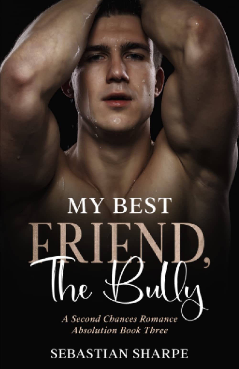 My best friend, The bully: A second chances romance