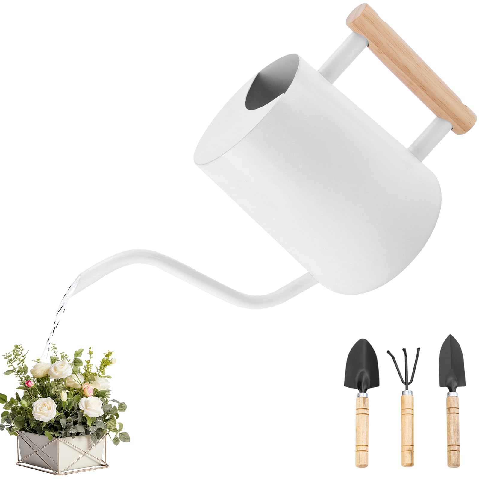 Arrosoir en Acier Inoxydable 1L,Petit Arrosoir pour Plantes D'intérieur avec Outils de Jardinage en Pot,Long Bec,Arrosoir Plante Interieur pour Plantes D'intérieur et Plantes Succulentes