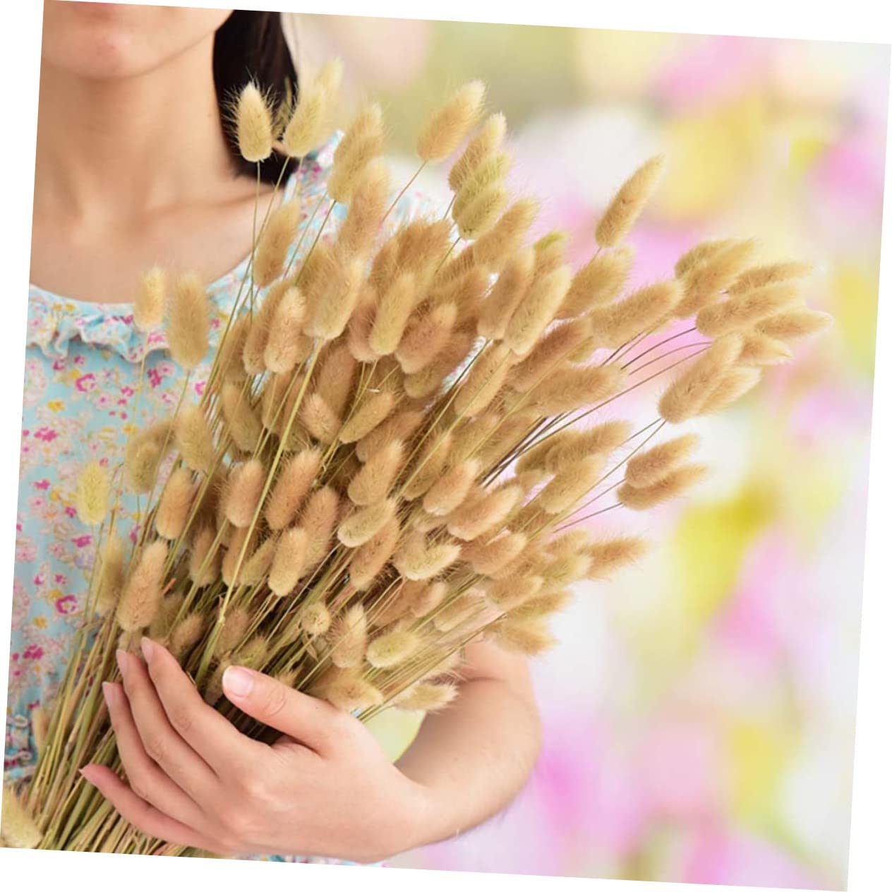 Cabilock 3 Uds 1 Uds Decoración del Hogar Flores Secas Cola De Conejo Plantas Naturales Flor Natural para Foto Hogar Pennisetum