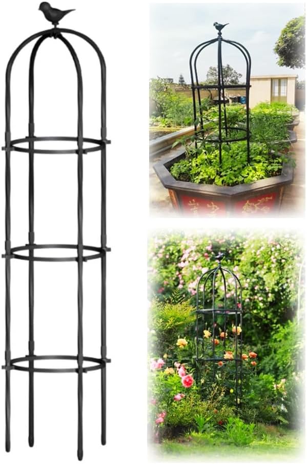 つん 【ダーツ】L-Style 限定100枚テーマ入りフェニックスカード