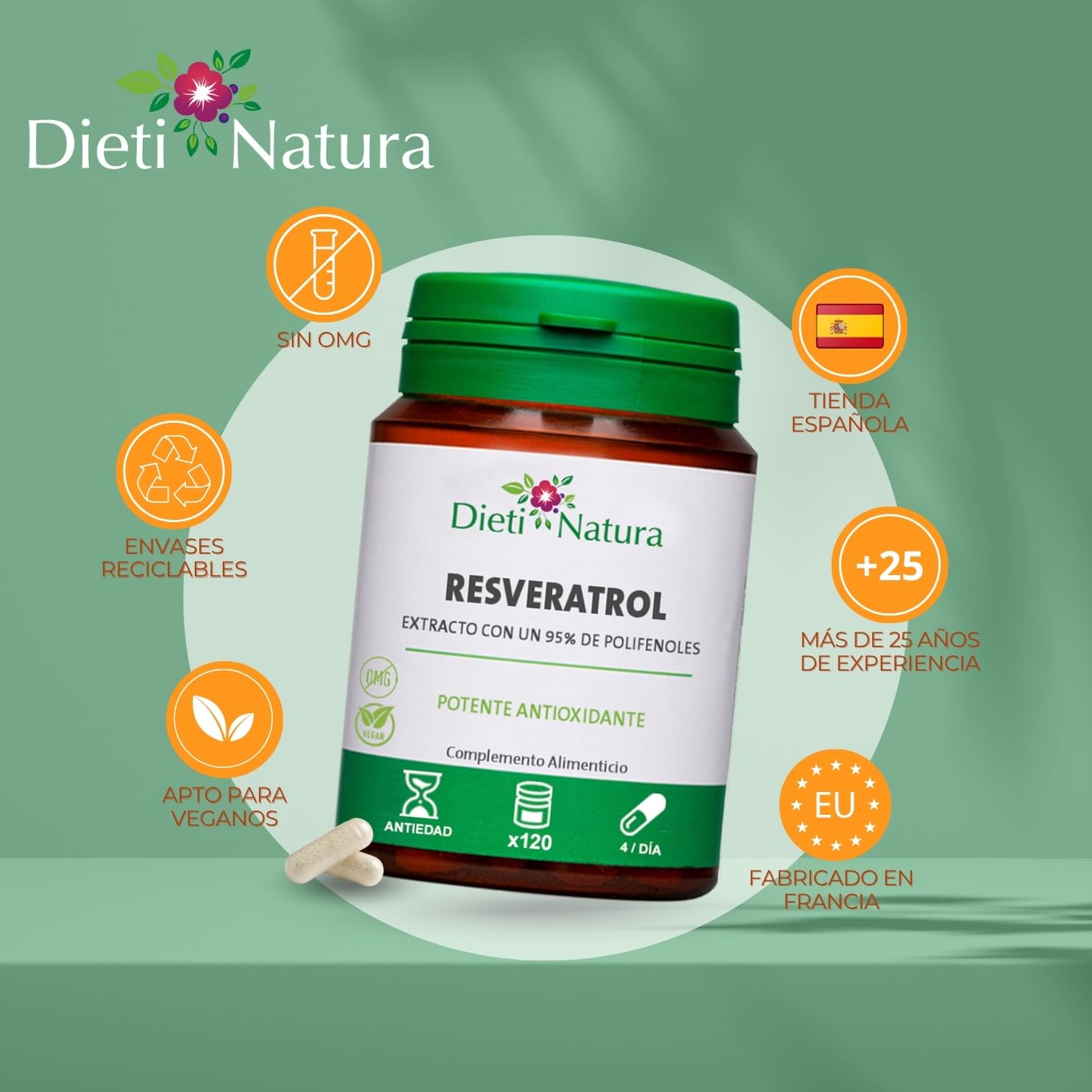 Dieti Natura Trans-Resveratrol 360 Cápsulas de Origen Vegetal - Resveratrol Antioxidante y Antiedad - Extraído de la Piel de Uvas Rojas con Polifenoles Naturales - Antioxidante Potente