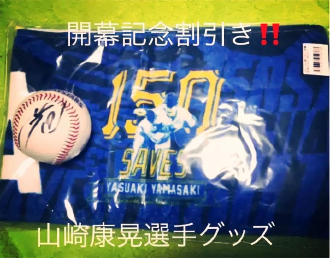 19 山﨑康晃選手 直筆サインボール＆ ケース ※オールスター