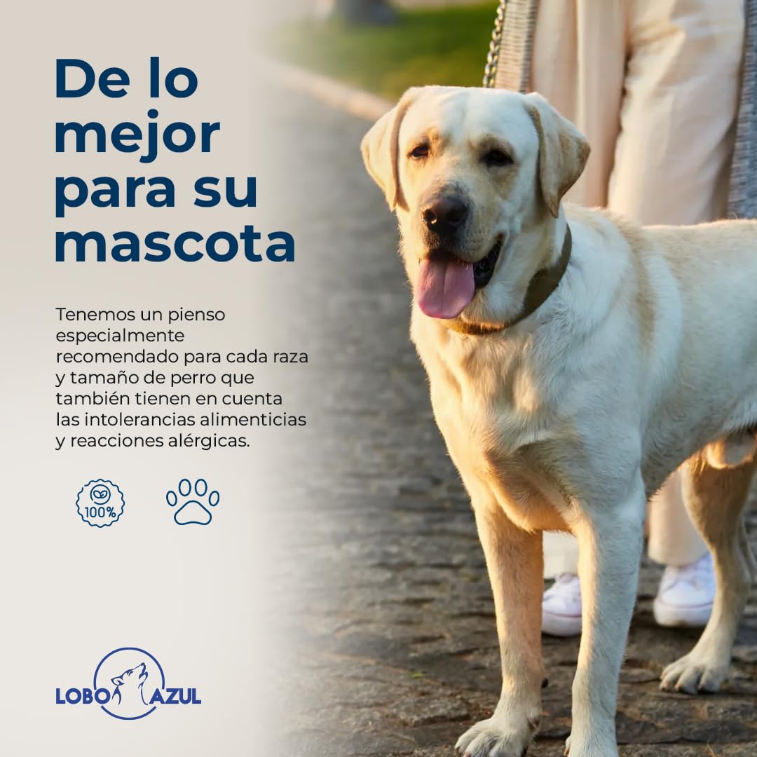 Pienso para Perros Cordero - Comida Digestible y Natural - Alimento Completo y Equilibrado para Perros Adultos - 15kg Lobo Azul Cordero