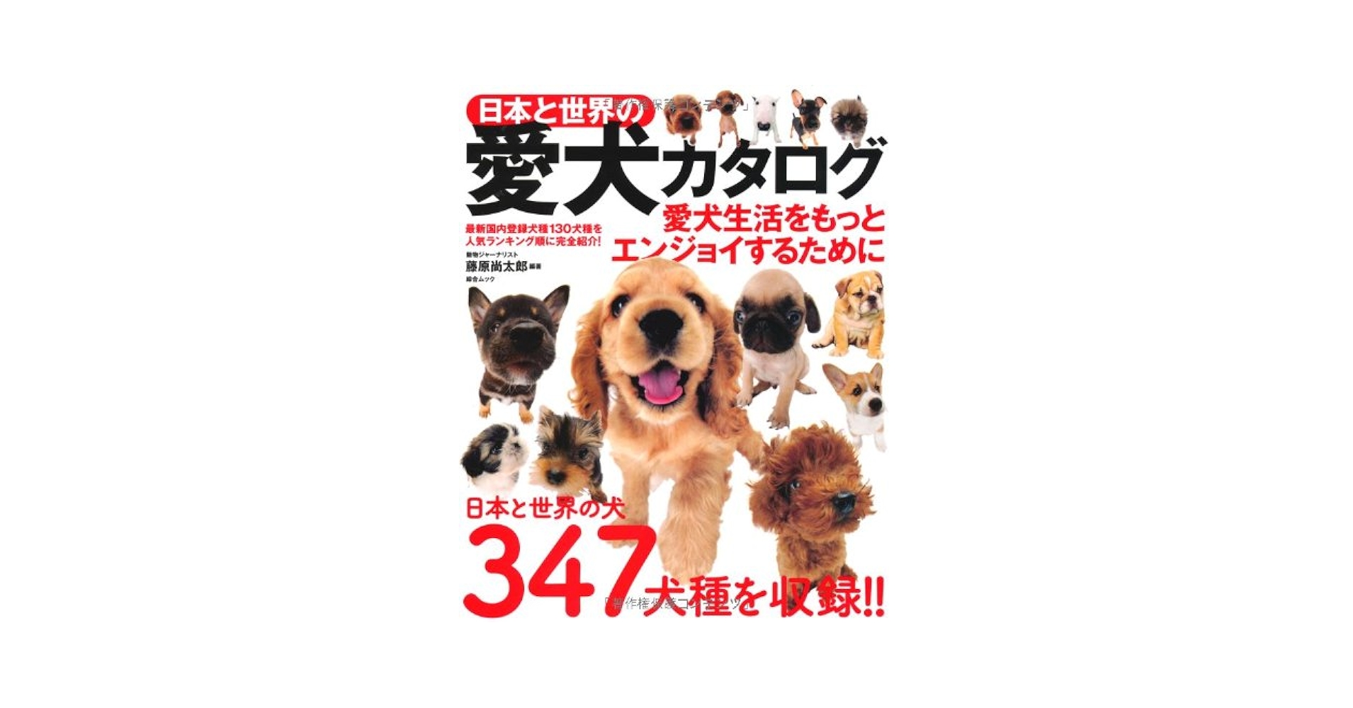 日本と世界の愛犬図鑑2007 Amazon.co.jp: 日本と世界の愛犬図鑑2007 : 本