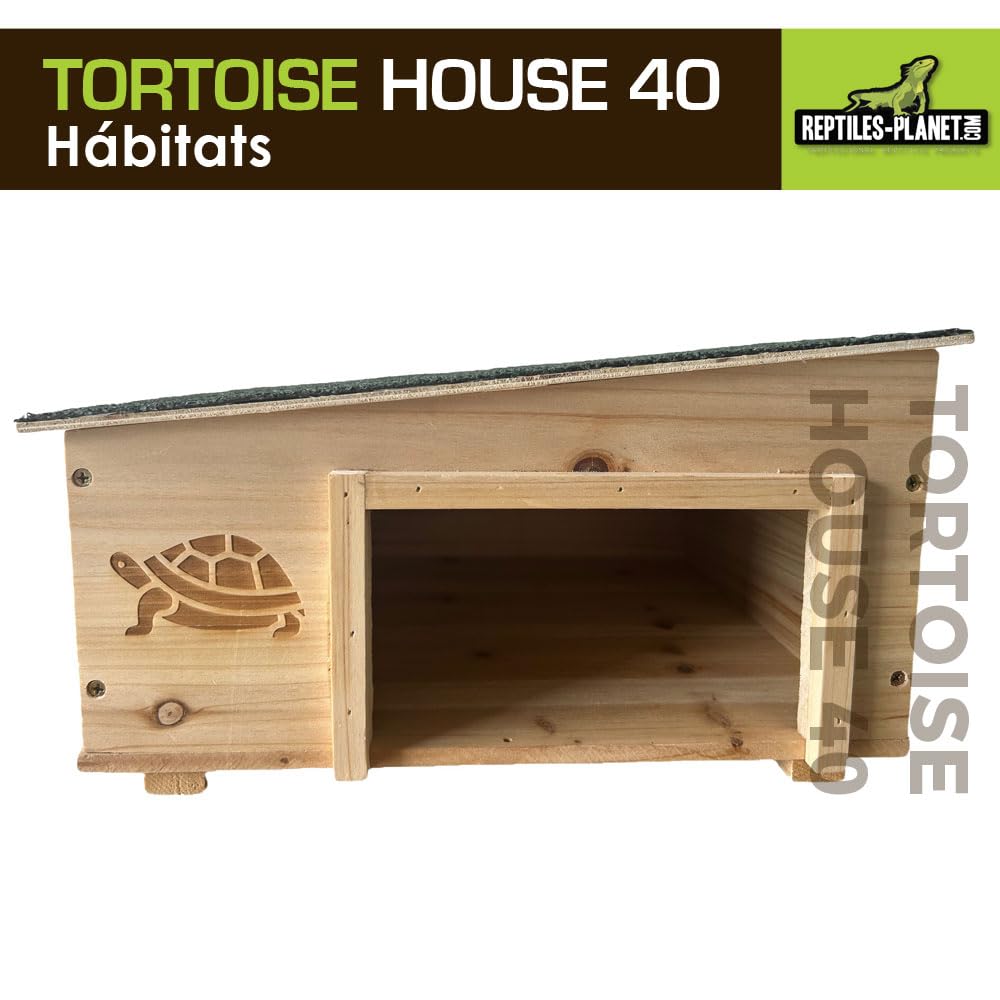 Reptiles Planet - Tortoise House 40 - Refugio para Tortuga Terrestre
