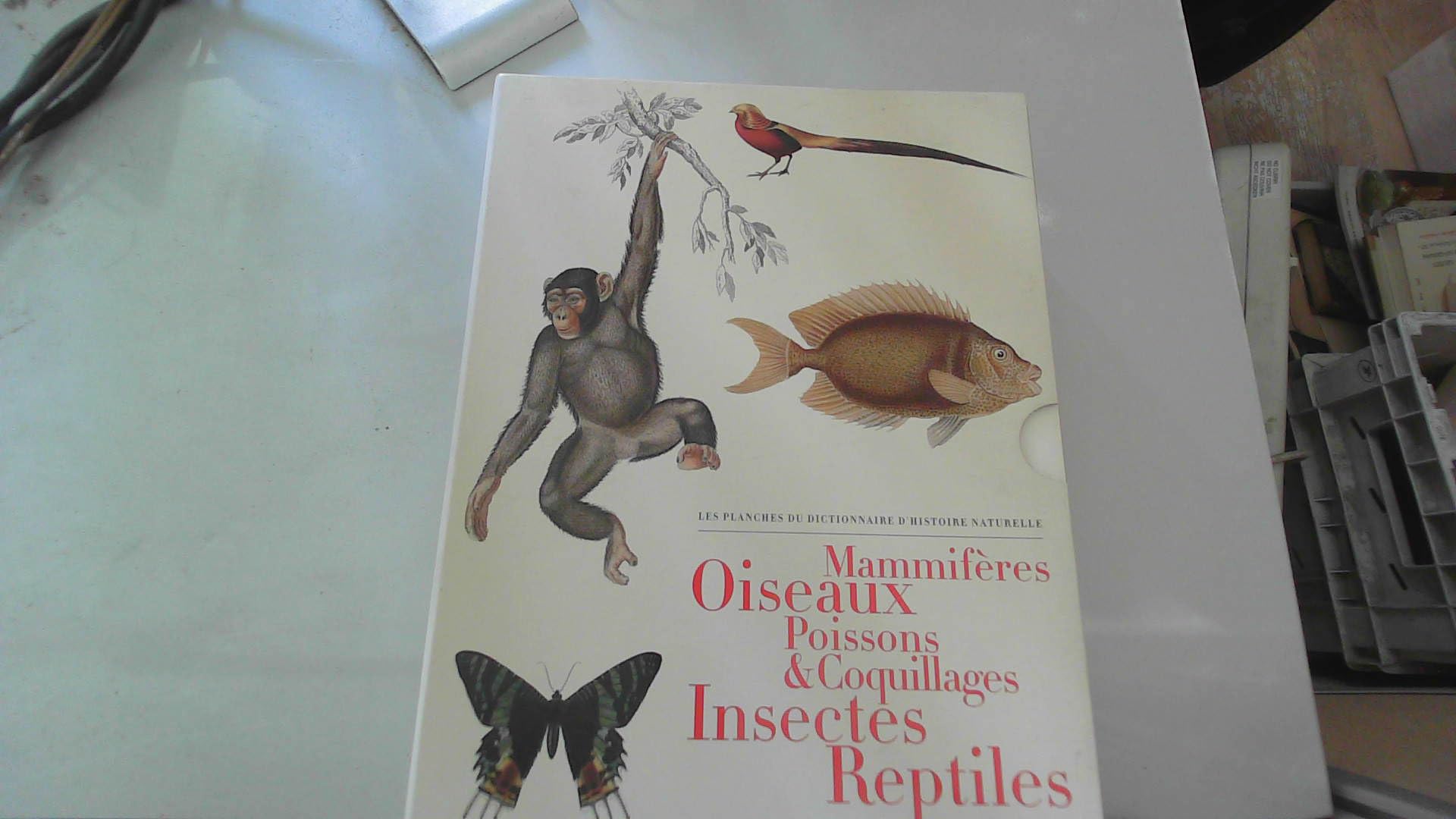 Les planches du Dictionnaire d'Histoire Naturelle - Coffret 5 vol.: Coffret 5 volumes : Mammifères ; Oiseaux ; Poissons & coquillages ; Insectes ; Reptiles