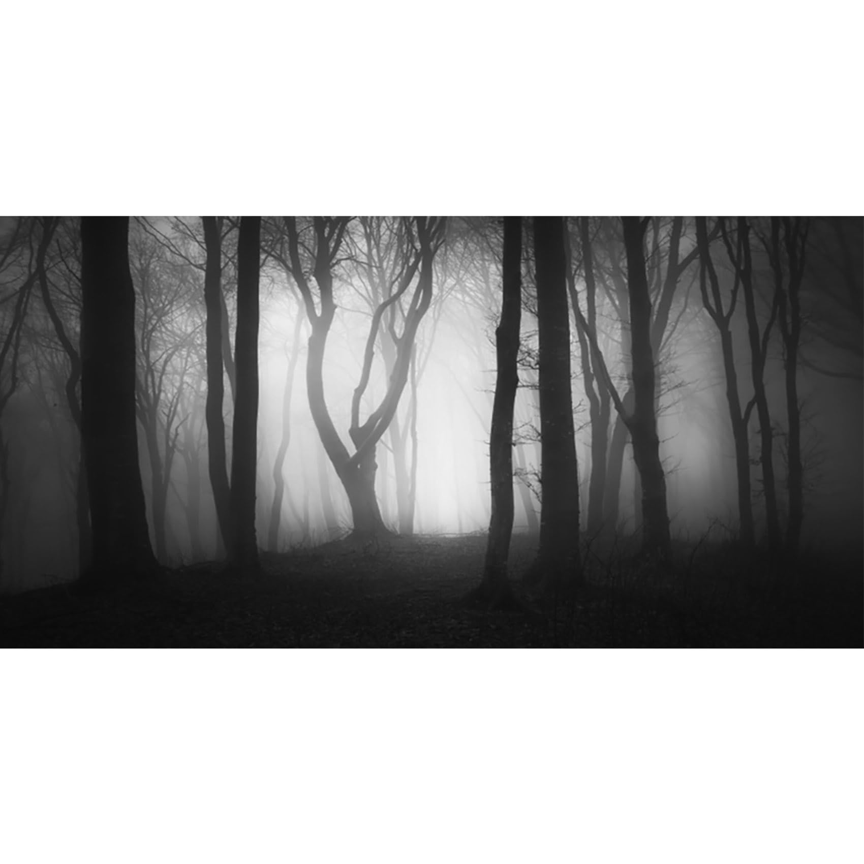 MIRRORANG 61x41cm Goth Aquarium Background Trees Forest Mist Night Halloween Vinyl Durable Spooky Background for 20 Gallon Fish Tanks