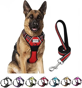 SLZZ Personalized Custom No Pull Dog Harness Leash Set with Name Phone Number-Heavy Duty Reflective Soft Padded Dog Vest Harn