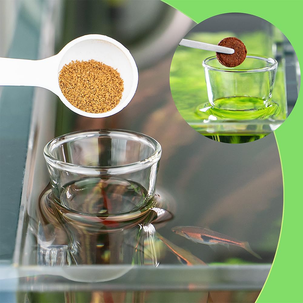 LINLAN Mangiatoia per gamberetti in vetro 30 cm tubo alimentazione acquario ciotola quadrata ventose