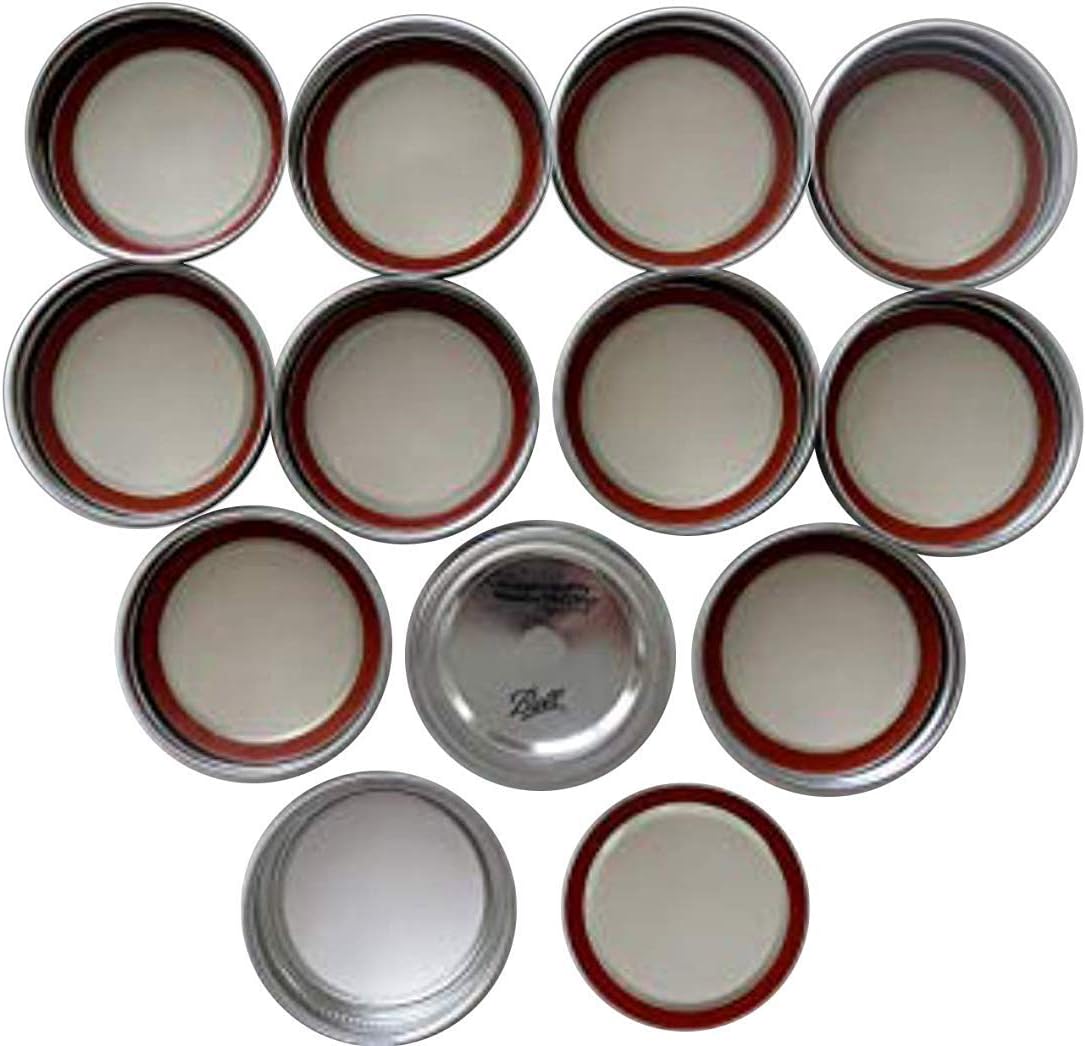 Mason Jar Wide Mouth Lids and Bands/Lot of 12 (Wide Mouth - 24 Lids)