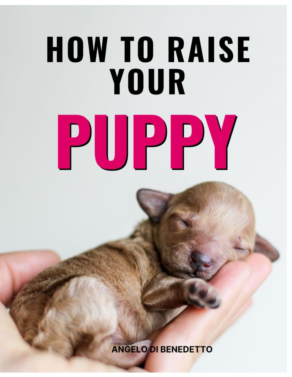 How to Raise your Puppy