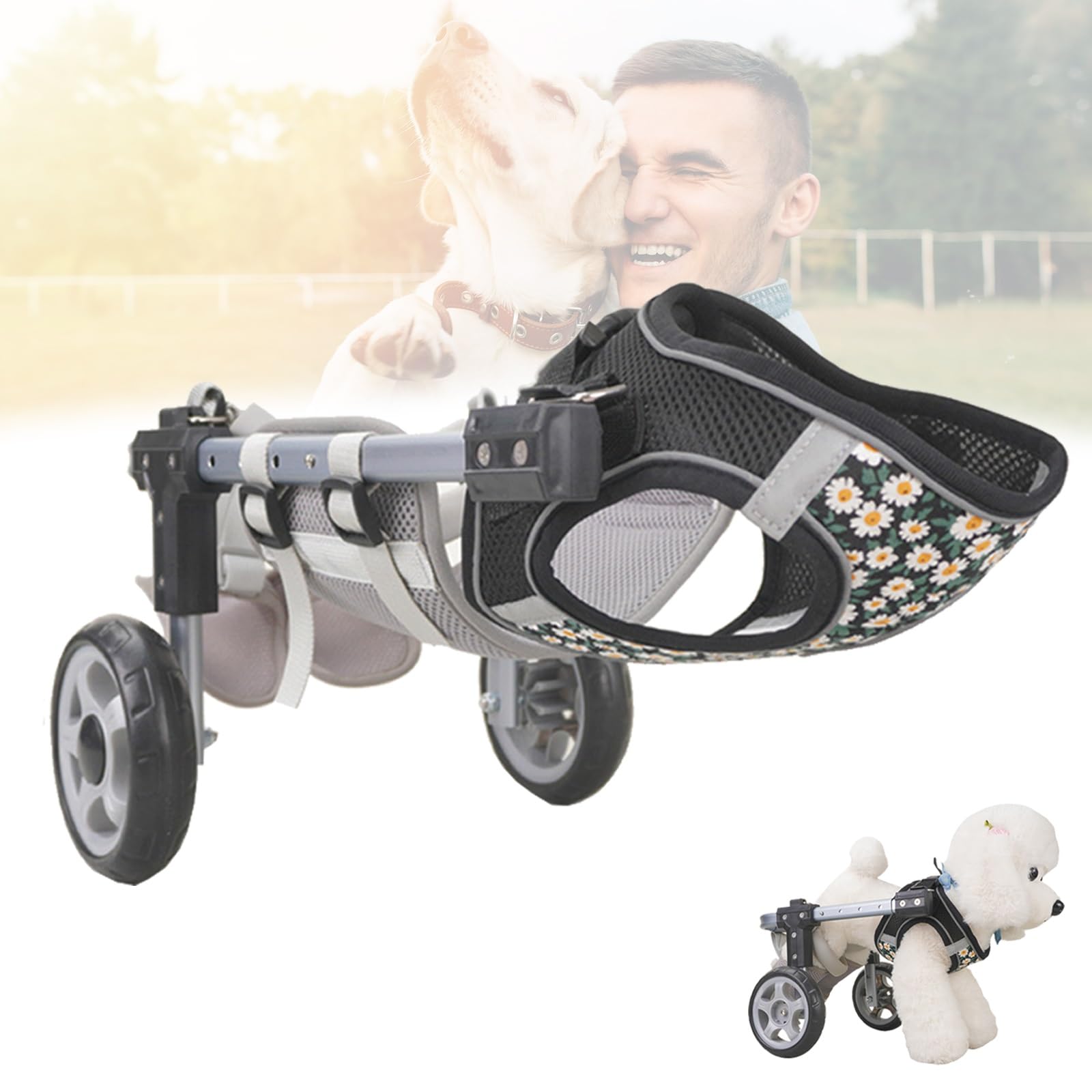 Sedia a rotelle regolabile e leggera per cani, 2/4 ruote, ausilio per la mobilità di cani disabili, supporto per gambe deboli (nero, grande)