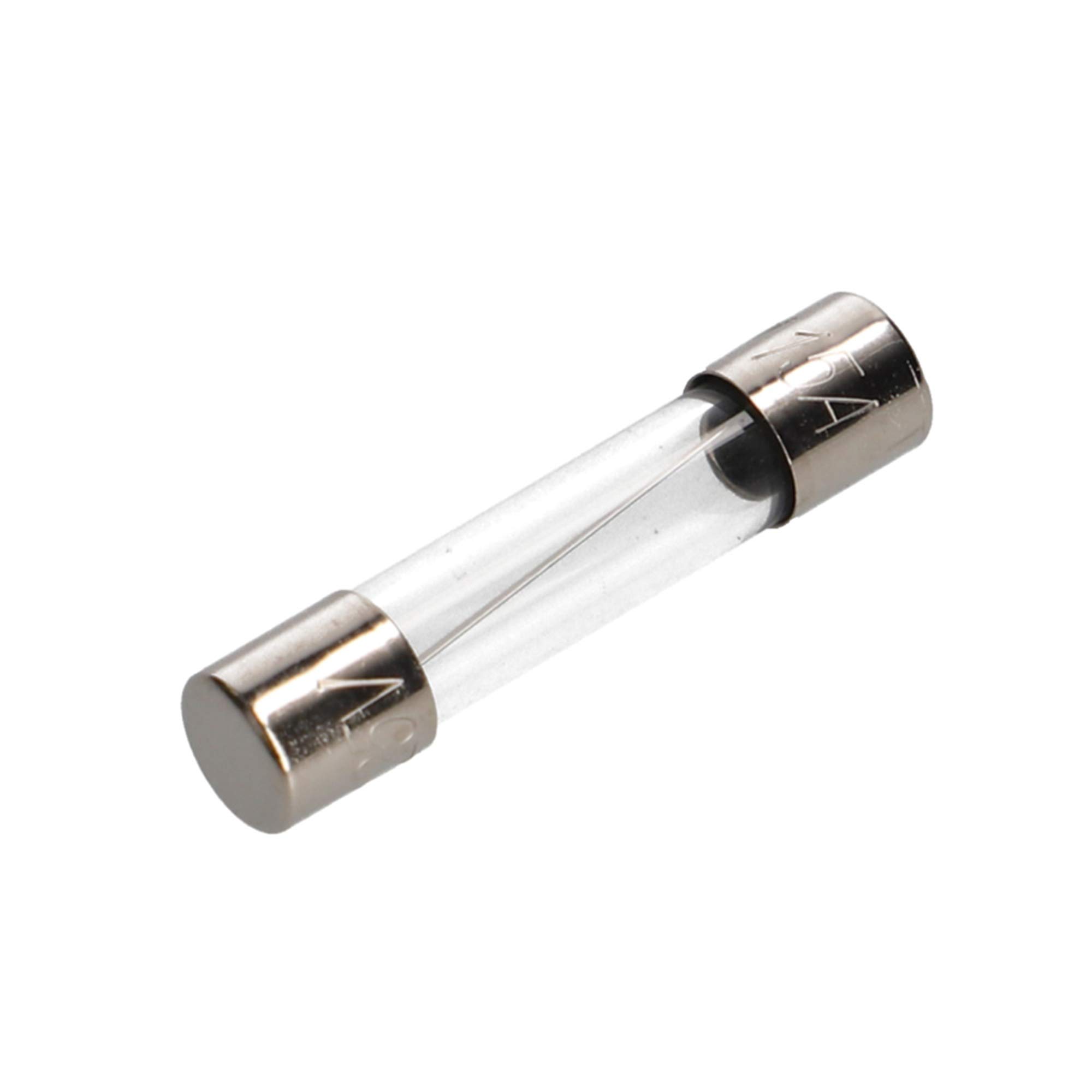 ほんもんのじゅうー 出場 ガメ [2024] - ぼんじゅーる農園直売所です。。。