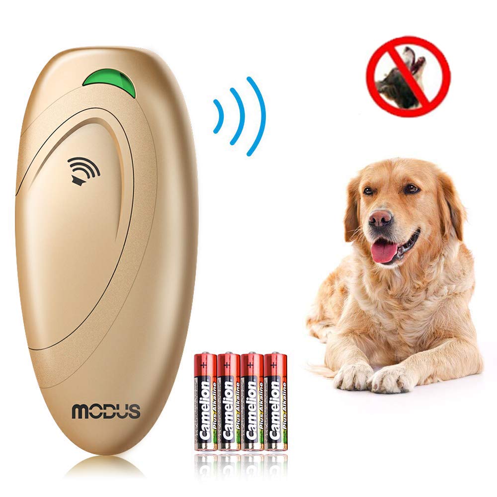 modus dog trainer