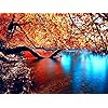 5D Diamond Painting Kits, DIY Diamond Painting voor Kids 6-12 jaar oud, Cross Stitch Full Drill Crystal Rhinestone voor…