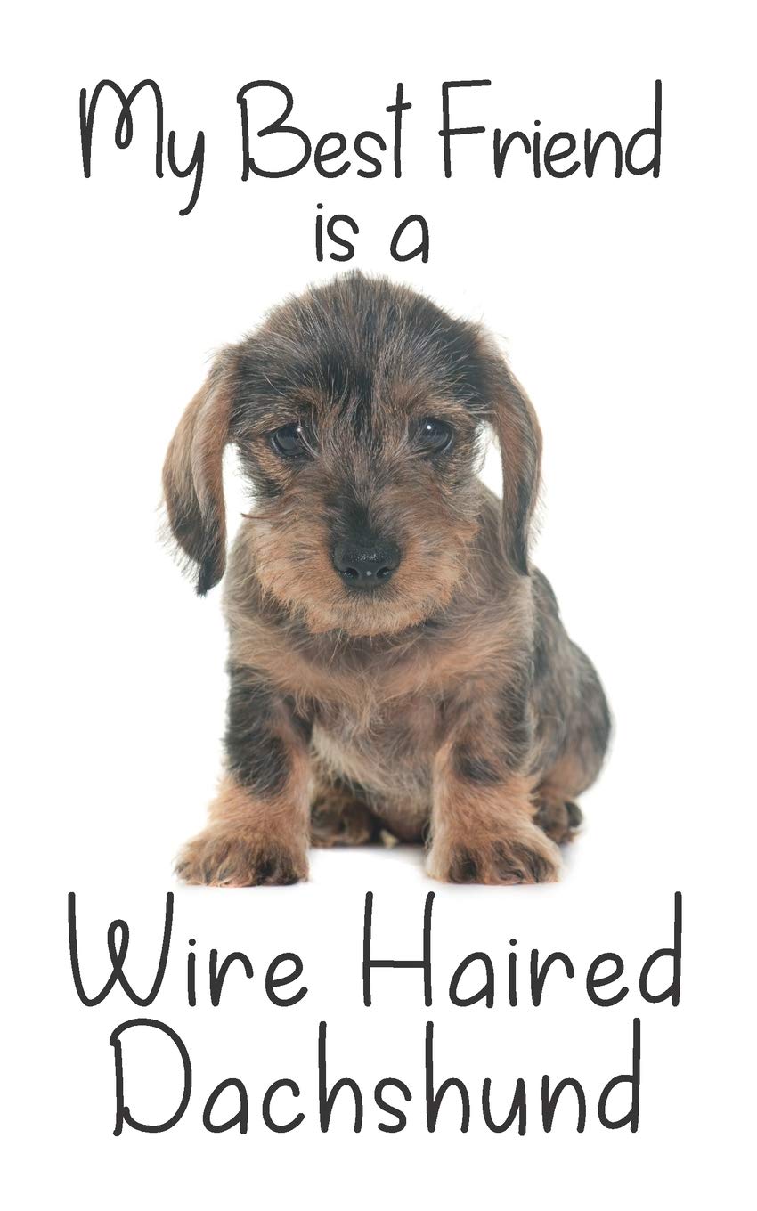 My best Friend is a Wire Haired Dachshund: 8” x 5” Blank lined Journal Notebook 120 College Ruled Pages