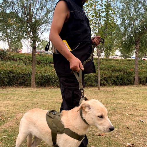 Folpus Hundetrainingsweste für Hundeführer, Tierbesitzer, Trainerjacke, Taillenkordelzug, professionelle Angelweste mit Taschen, wasserdicht, XL
