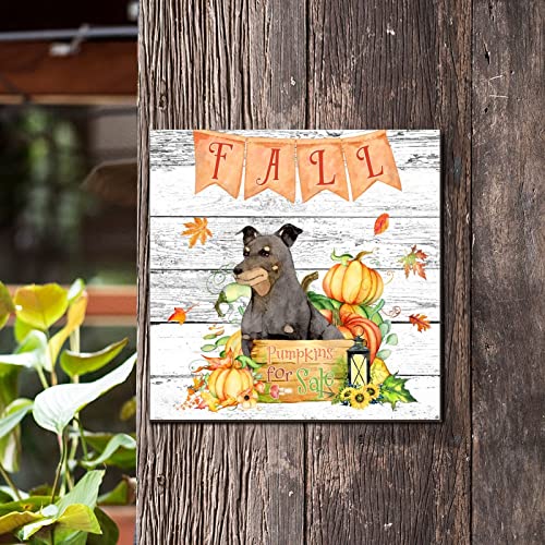 Tableau bois rustique Fall Pumpkins de qualité pour maison 35cm