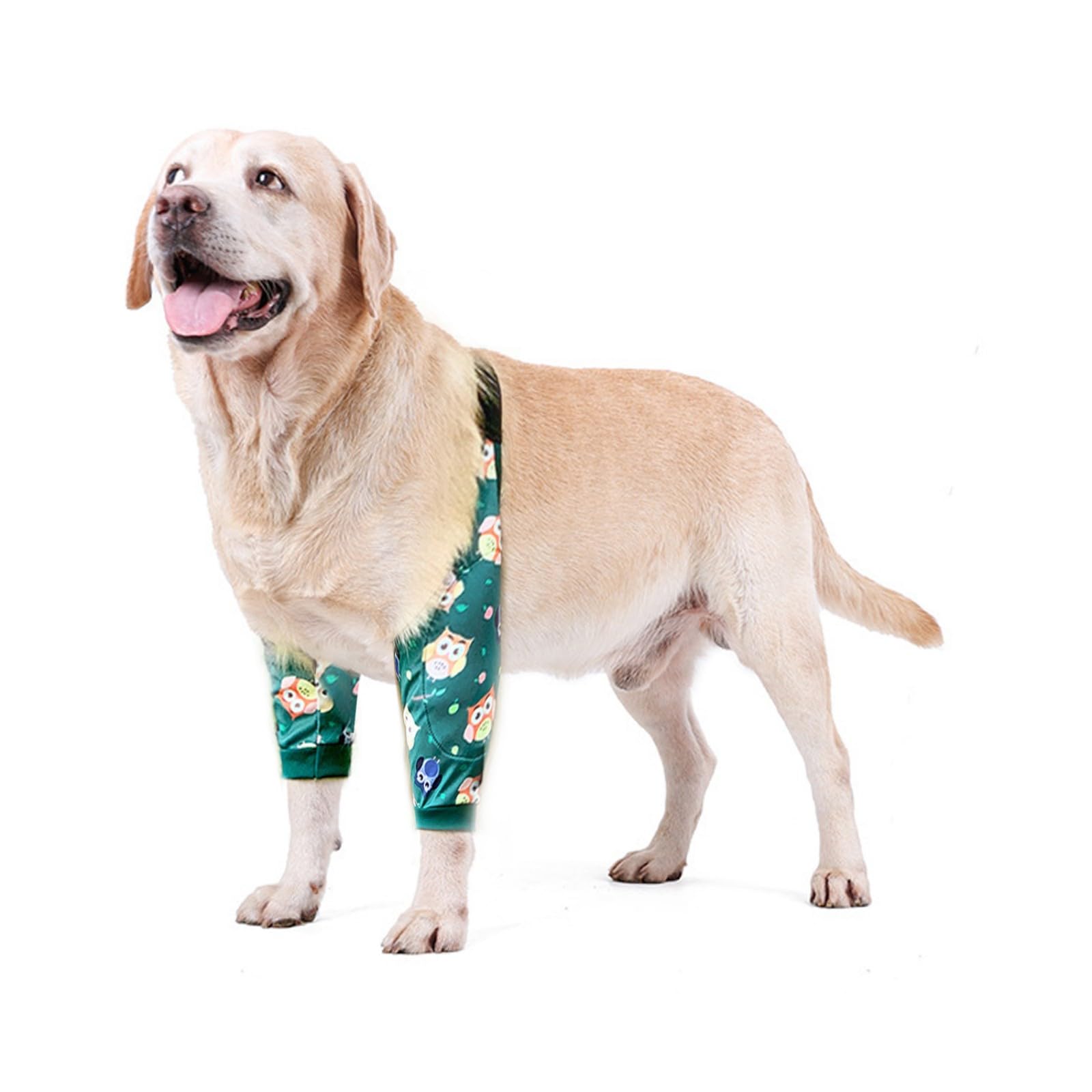 Blue Dream Island Dog Front Leg Braces Recovery Sleeve, Pet Knee Brace Wounds Protector for Medium Large Dog_5XL(Owl)