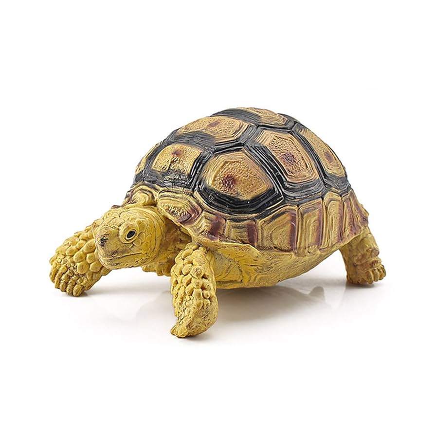 Amazon | EUHELOPA 亀 フィギュア 19種類 海洋動物 おもちゃ