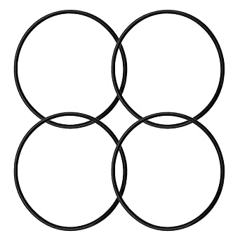 R172009 O-283 O-Ring Fits for Pentair Rainbow 300/320 Pool and Spa Chlorinator Lid4/Pack