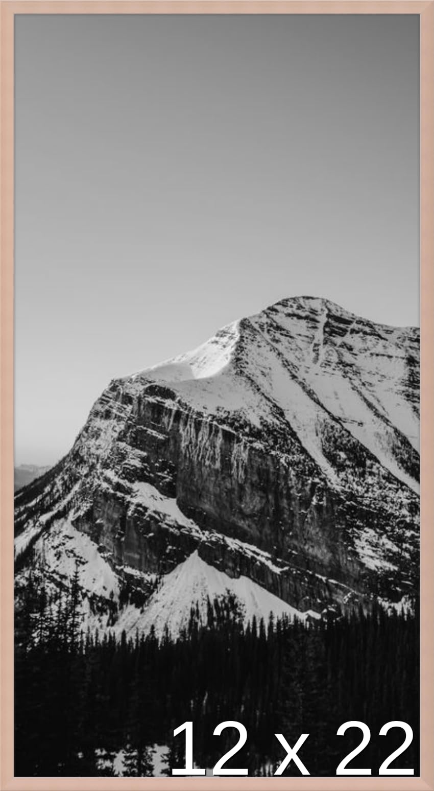 Frame It Easy 12 x 22 Rose Gold Metal Frame (Ashford)