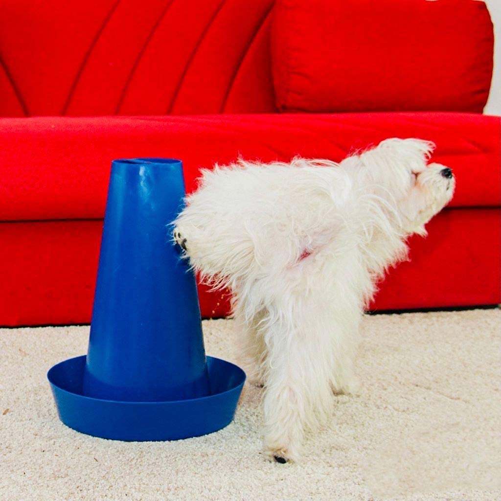 PIPPI Baño para Perros tapete para Perros baño fácil de Limpiar para Interiores WC para Perros para una higiene óptima sin olores ecológico Dog Toilet WC 28x36cm Azul Pack de 3