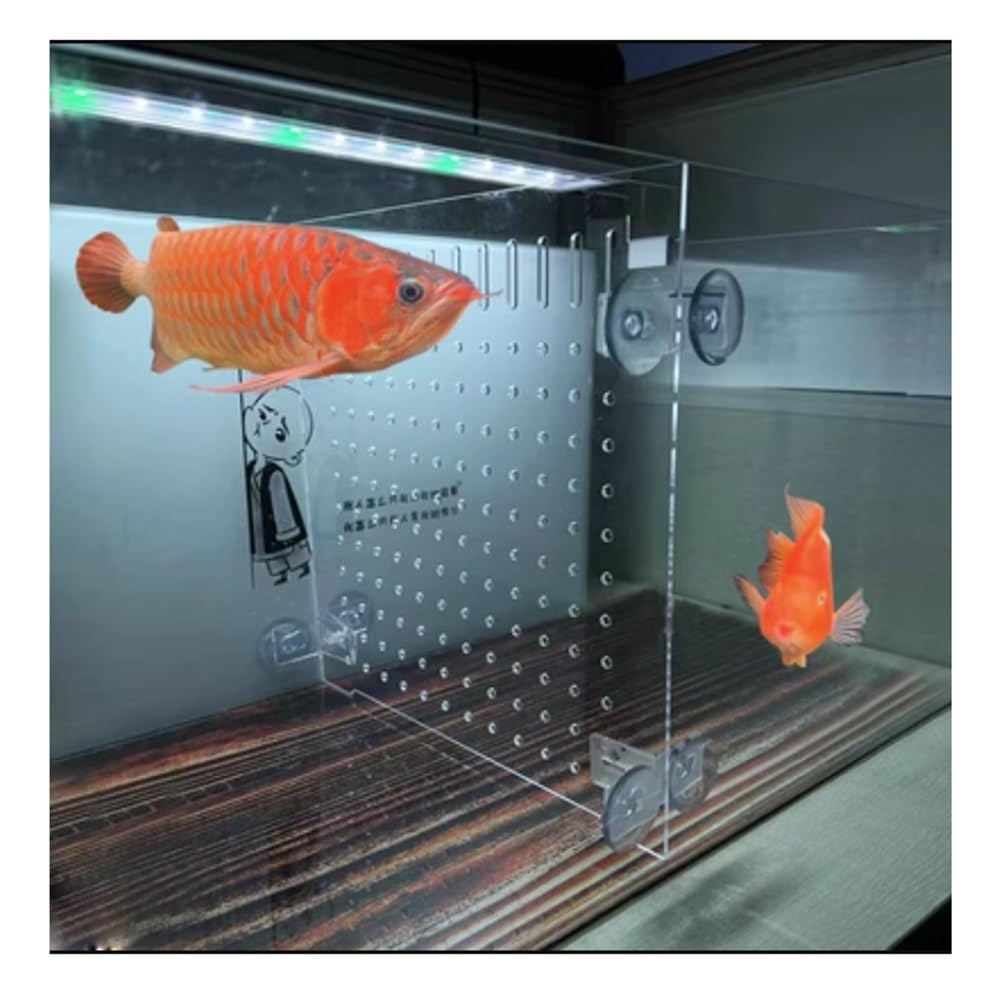 Divisori per Acquario Pannello isolante trasparente per acquario, divisorio acrilico, partizione di rete, previene i pesci, attacco di lotta con le tartarughe, ogni trasparente, dimensioni: 40 x 50 c