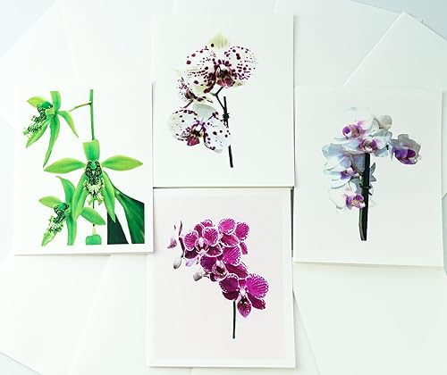 Orchid - Tarjetas de notas fotográficas de lino pesado, 8 con 10 sobres a juego, juego en caja (4.25 x 5.50 pulgadas) en blanco en el interior,