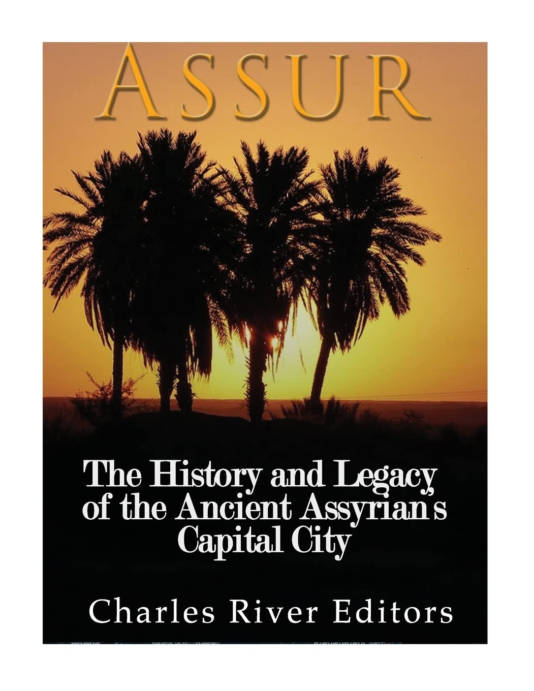Assur: The History and Legacy of the Ancient Assyrian Empire?s Capital City
