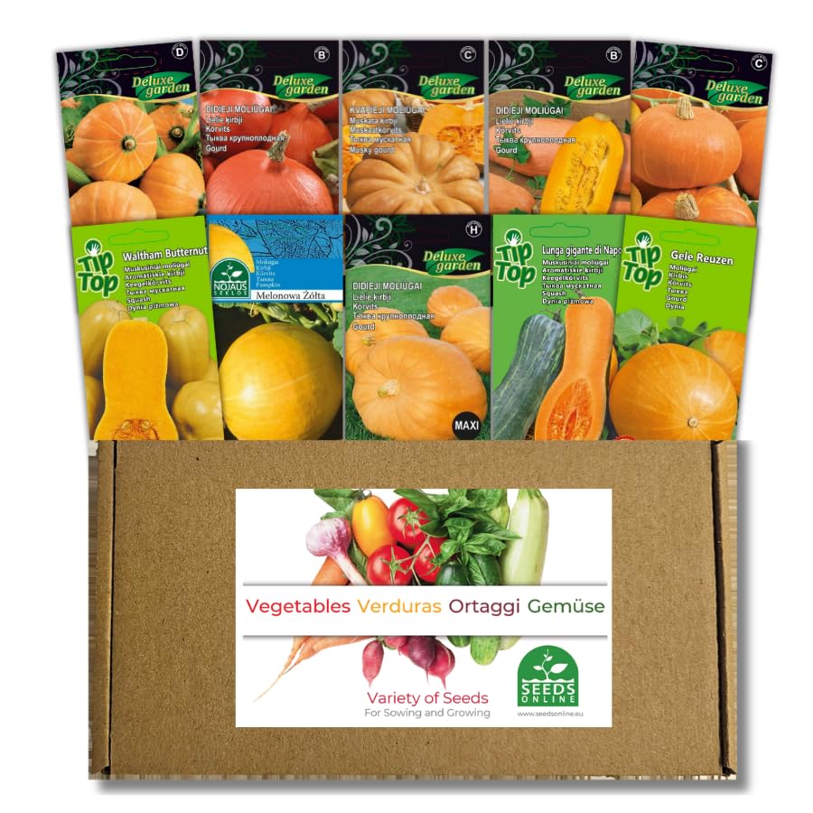 Nojus - Kürbissamen Sammlung 10 Sorten von Gemüsesamen: Giant, Muskat & Zierkürbisse – Atlantic Giant, Muscat de Provence, Uchiki Kuri - Kürbis selbst aus Samen ziehen, Kürbis samen für Halloween