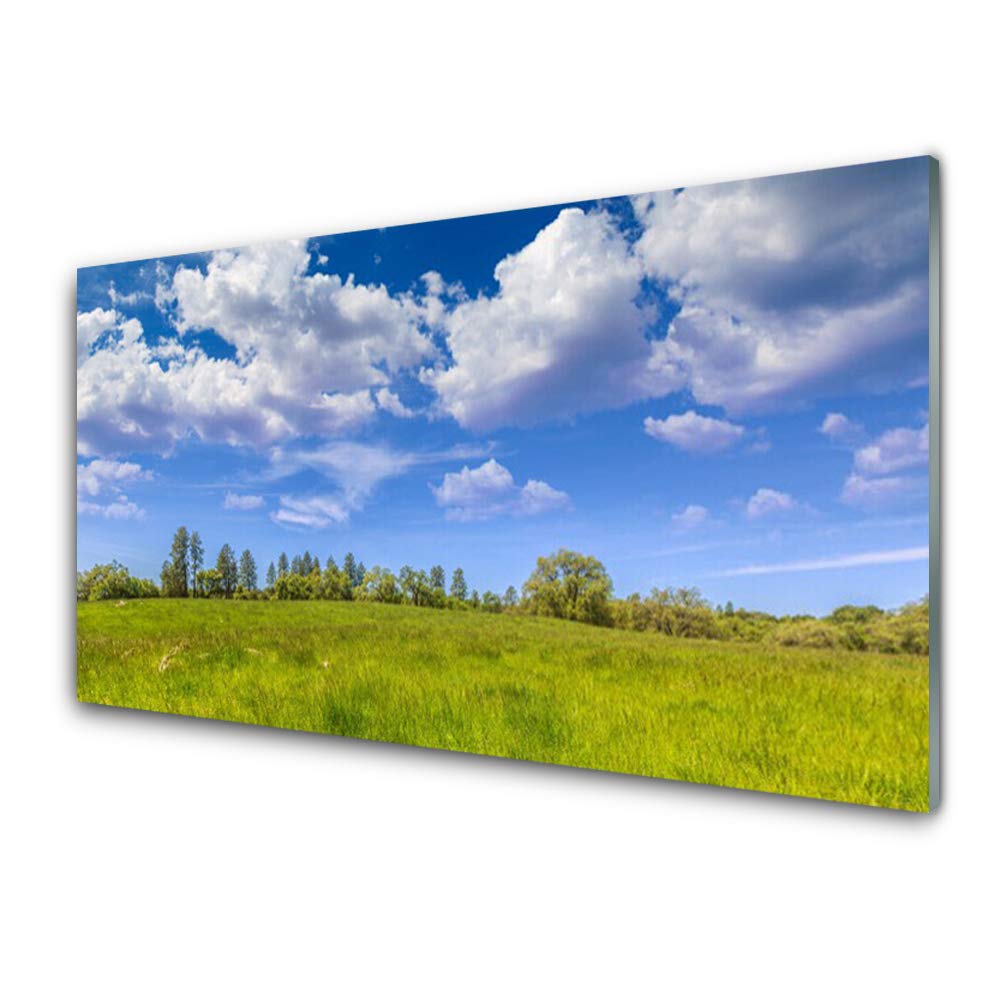 Impression sur verre trempée Tulup 100x50 cm pour décoration murale moderne Meadow