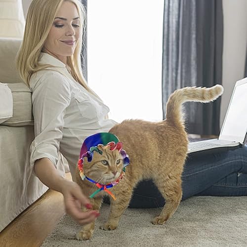 Miniatura 4 de Disfraz de orgullo gay para perro, lindo pañuelo para perro, accesorios de orgullo para perros pequeños y medianos, gatos, sombrero de encaje