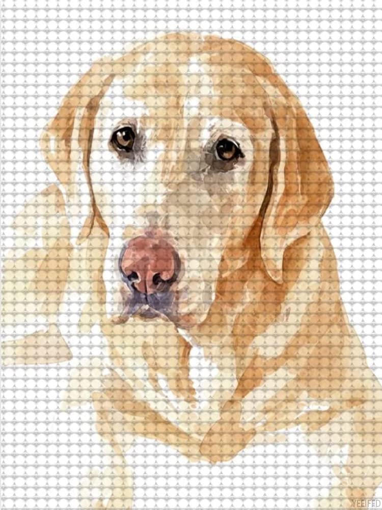 Kit Peinture Diamant 5D Chien Labrador - Toile 30x40 Cm, Strass Ronds, Outillage Inclus - Loisir Créatif Adulte