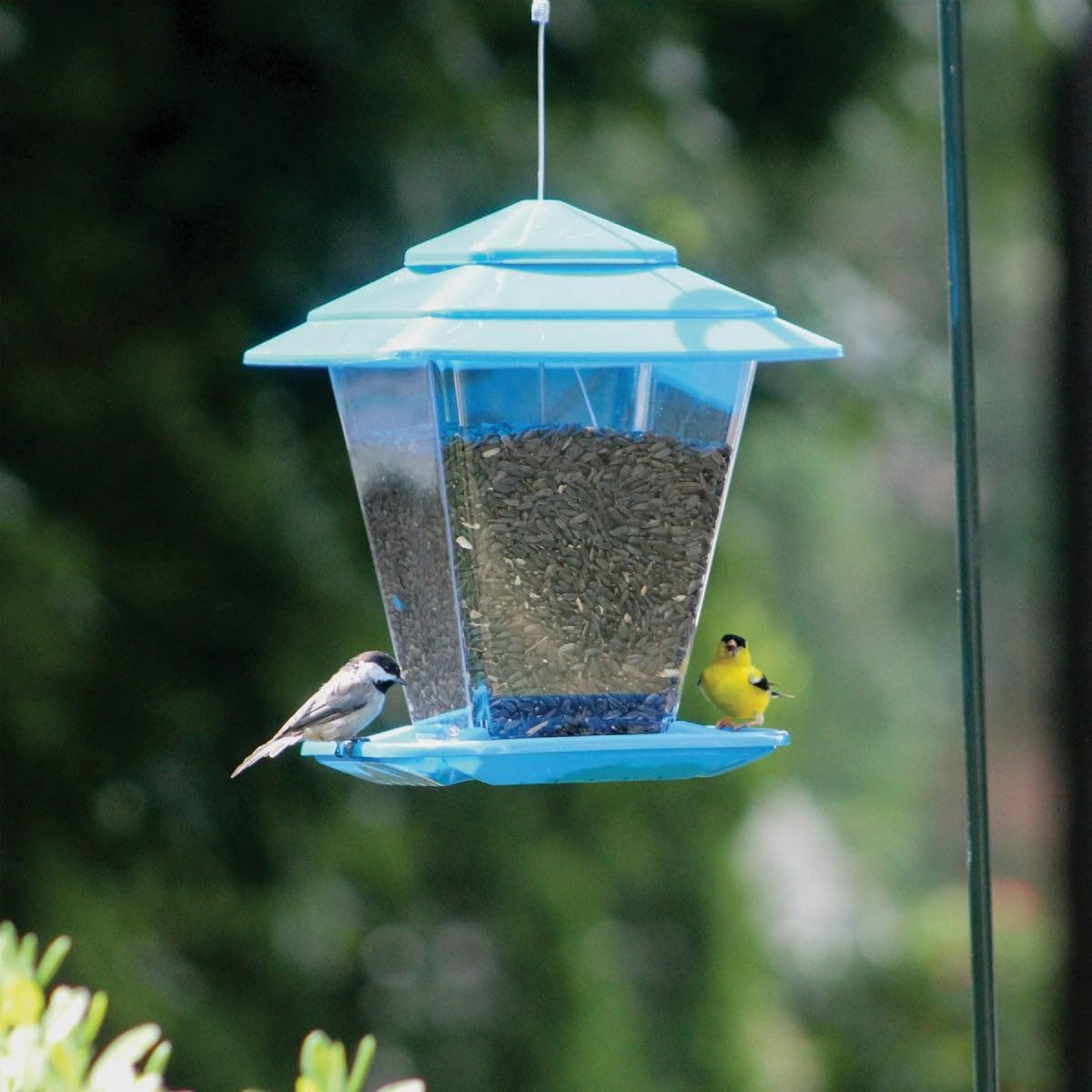 Seed Tube Feeder, One Size