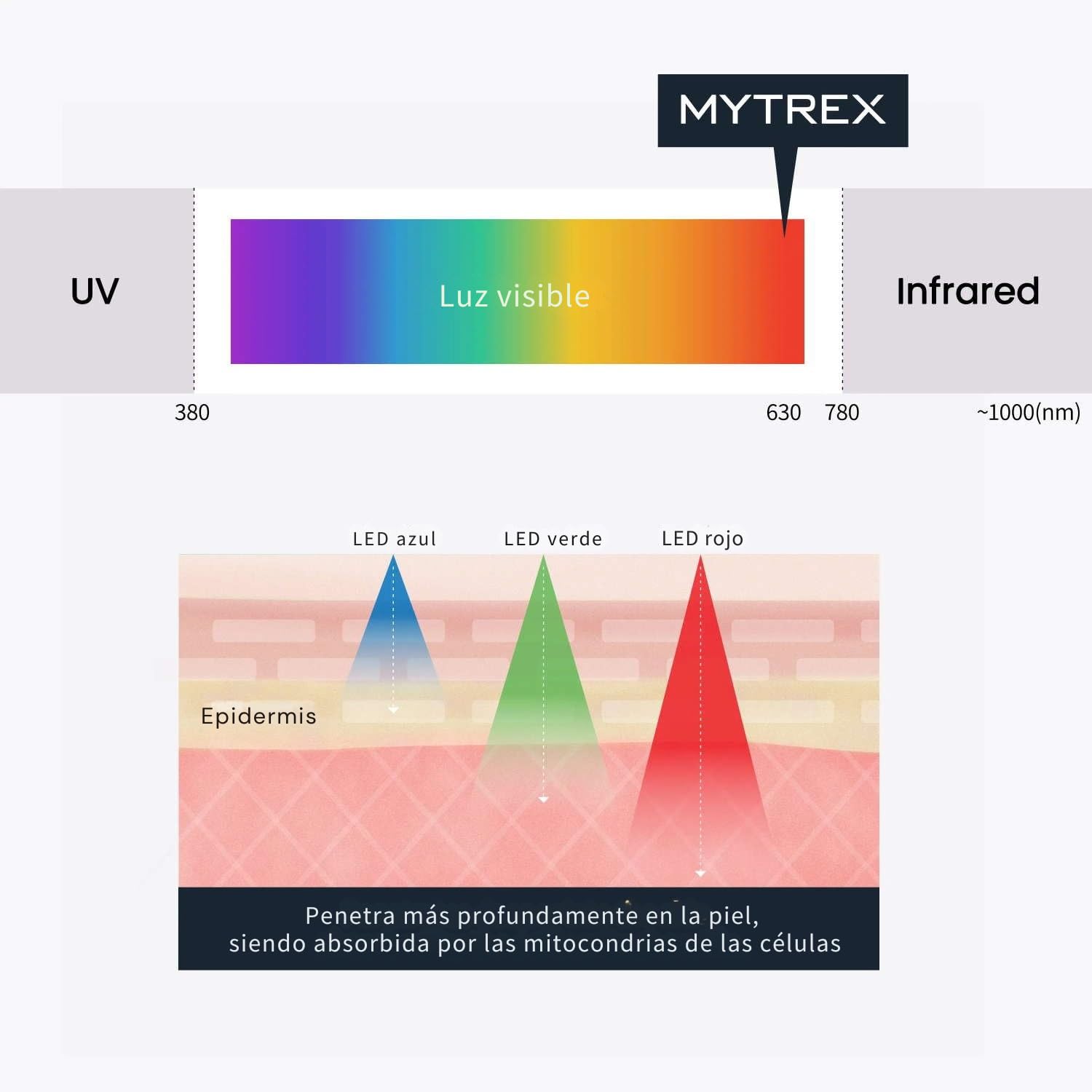 MYTREX Head Spa Pro Masajeador Facial y Capilar con EMS, Terapia de Luz Roja, 12 Accesorios, 5 Niveles, Resistente al Agua, Modelo MTEHP22B