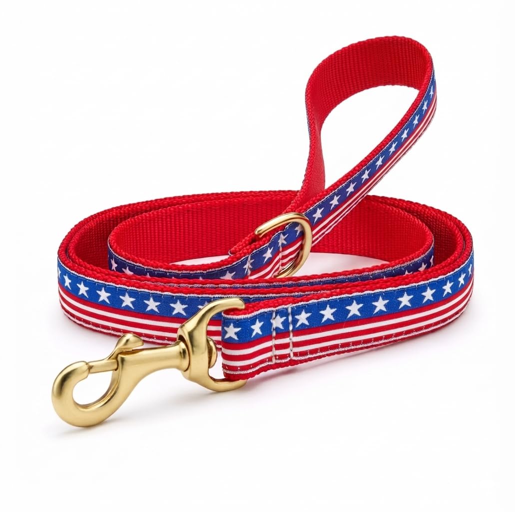 Up Country, Dog Lead Stars and Stripes Pattern Leash with D-Ring, 5 Foot (5 Foot 1" Wide)